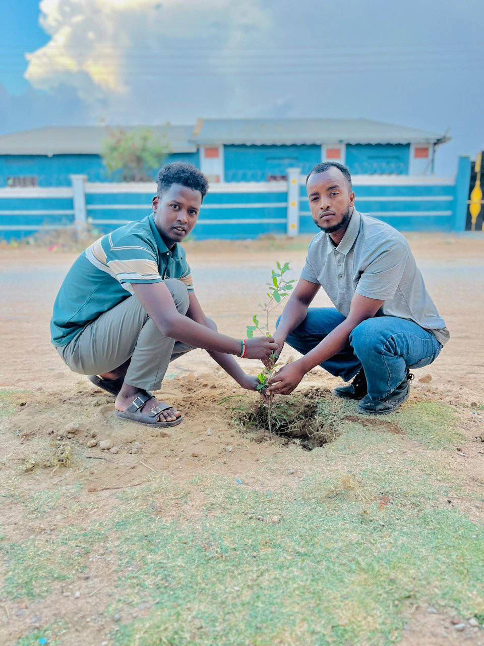 Gabiley Urban Afforestation Initiative